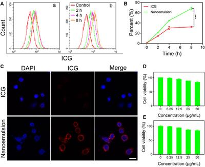 Superior Fluorescent Nanoemulsion Illuminates Hepatocellular Carcinoma for Surgical Navigation